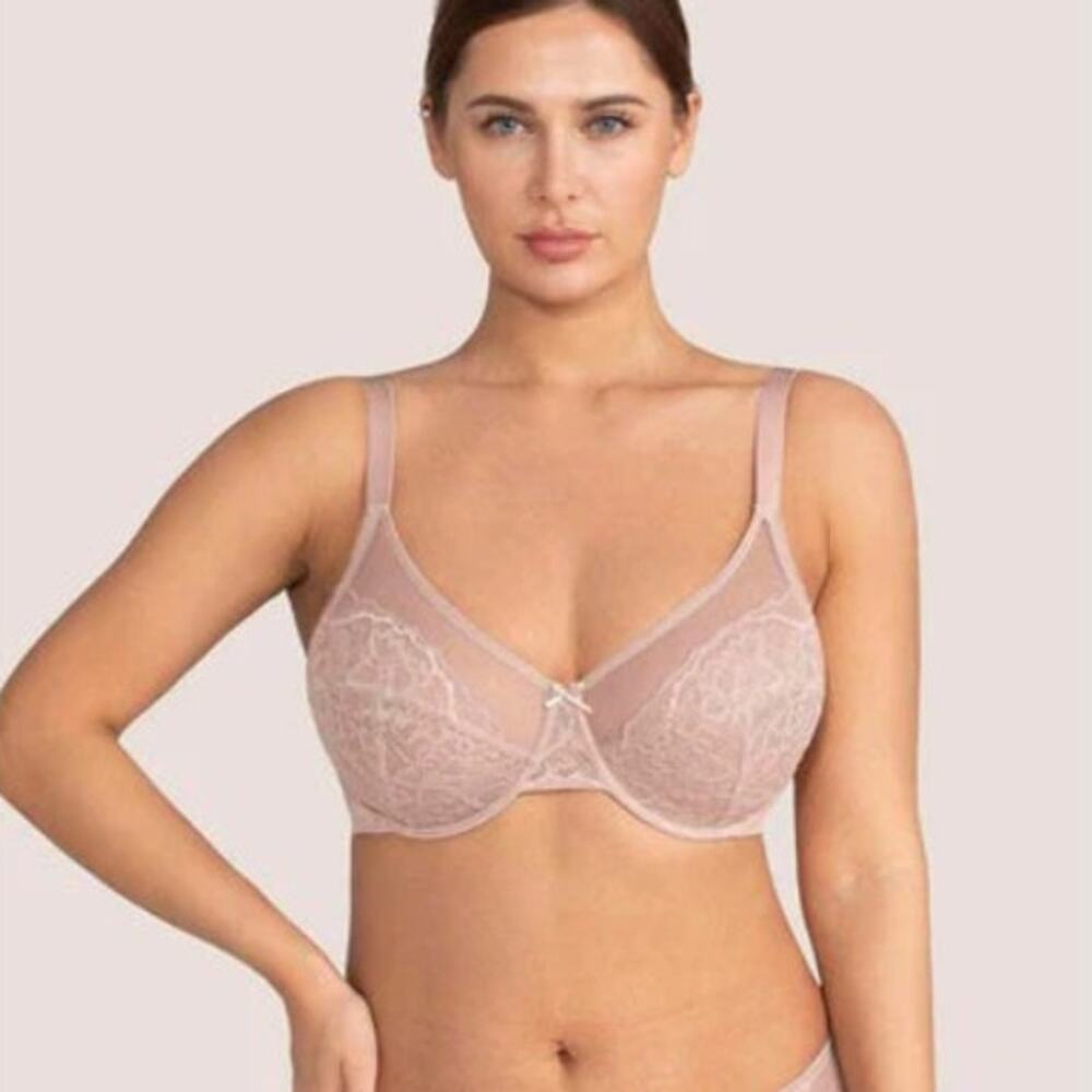 HSIA Enchante Beige Lace Underwire Bra Size 34DD NWT